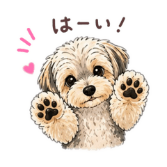 SALTN_20260428025405