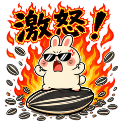 Usa-Ham Sunglasses ver3