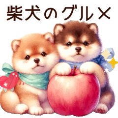 Shiba Inu and gourmet stickers