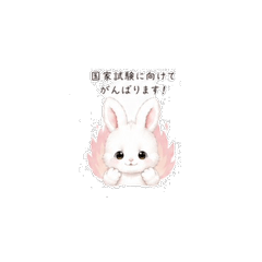 以護理師為夢想的女孩兔兔貼圖