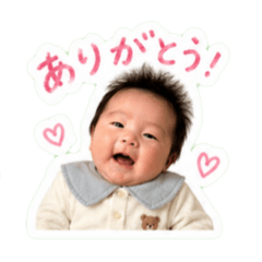 hapitaro_20260428072611