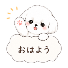 popola_20260428074328