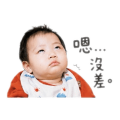 章魚燒寶寶-厭世用語篇