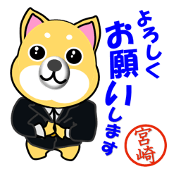 Shiba Inu Suits, With Miyazaki's Stamp