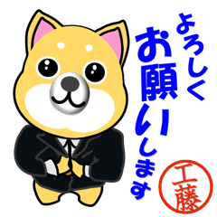 Shiba Inu Suits, With Kudo's Stamp