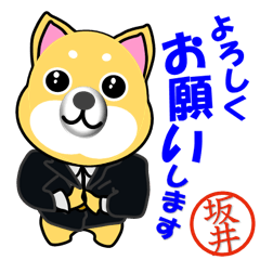 Shiba Inu Suits, With Sakai's Stamp