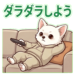 Daikichi the Chihuahua Vol.6 - Lazy