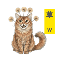 Mutsuki_20260428064018