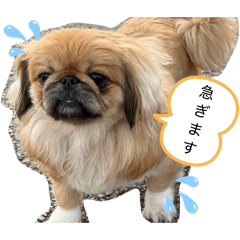 hiromi.m_20260428065130