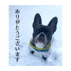 aoao_20260428080639