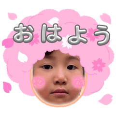 miya_20260428080852