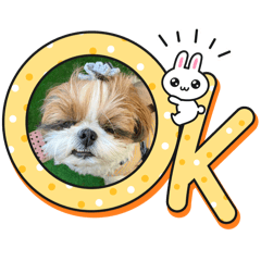 takoasi_20260428083410