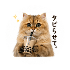 meguko_20260428085028