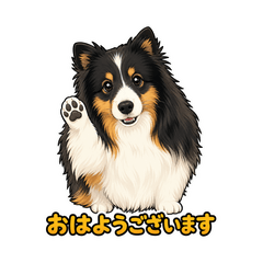 Fluffy Sheltie: Polite Daily Stickers