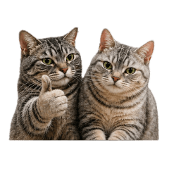 Mocha and Ginger's Chill Talk