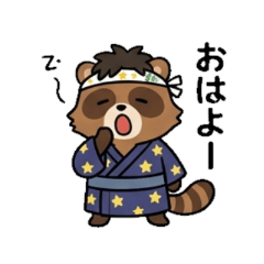 Gen Z Star Festival Raccoon