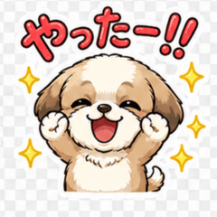 Cute Shih Tzu Daily Life Stickers2