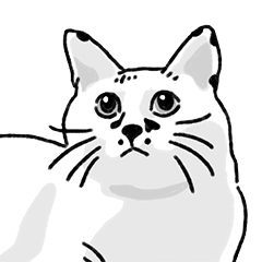 Quiet White Cat Daily