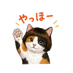 hiroro_20260428082829