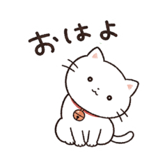 Slow white kitten life