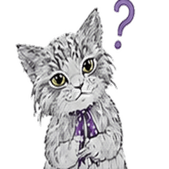 Angry Cat Daily Sticker 5