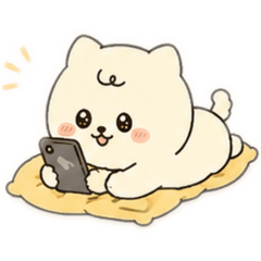 My cute Pomeranian 6!