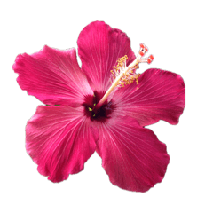 Me&You_20260428093211