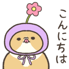 Melting cat. Springtime for the socks.2