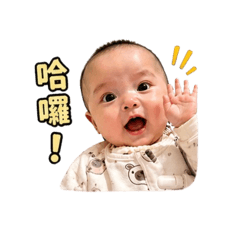 茉茉日常實用篇