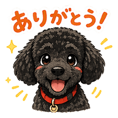 Portuguese Water Dog "Tawashi"