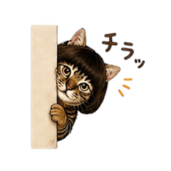 hiroro_20260427234147