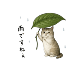 hiroro_20260428090130