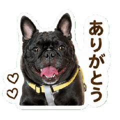 Buddy's Mam_20260428100532