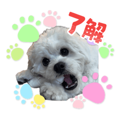 nomogi_20260428102013