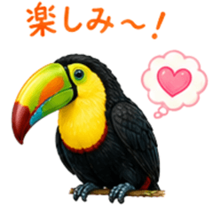 Toucan Daily Conversation Stickers1