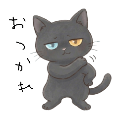 Cool black cat LINE stickers