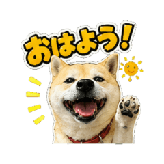 haku - Daily Chat Stickers