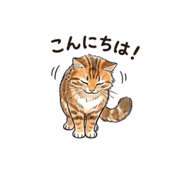 hiroro_20260428104629