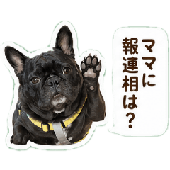 Buddy's Mam_20260428105607