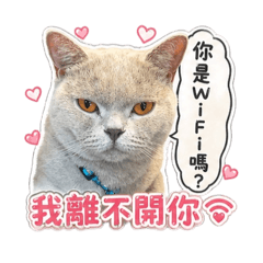 你是Wi-Fi嗎？我離不開你