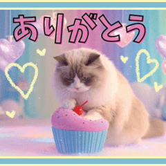 ふみふみ⭐️癒しの猫さん達