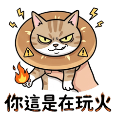 貝果貓❤️超搞怪❤️