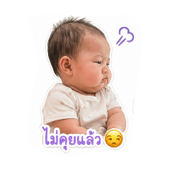 Pet2a2r_20260427162526