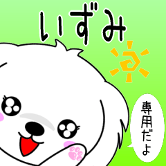 Izumi only Cute Maltese Sticker