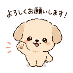 Heartwarming Cute Toy Poodle