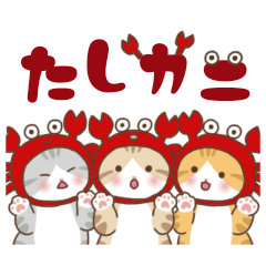 Umoreneko Purunya Pun Mix