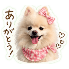 wataame_20260428112331