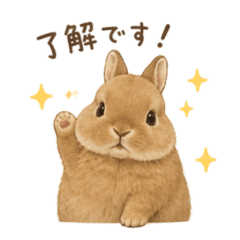 marumaruusagi(brown)