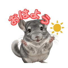 Cute Chinchilla Everyday Stickers