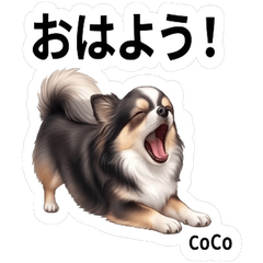 Coco Cute Stickers Pack Vol.1